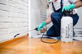 Best Residential Pest Control  in Woodburn, IN